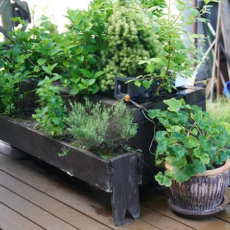 Bon Ton Alloggio in famiglia *