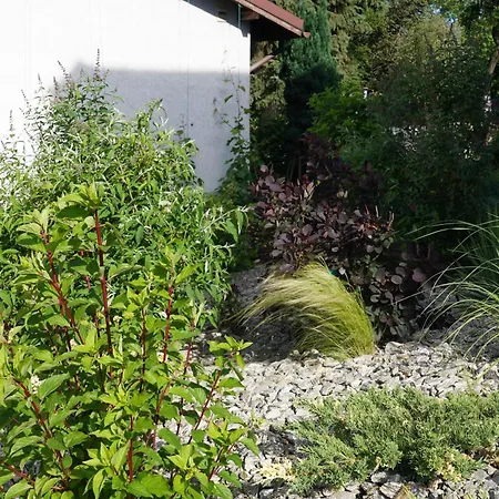 Kwatera prywatna Bon Ton *