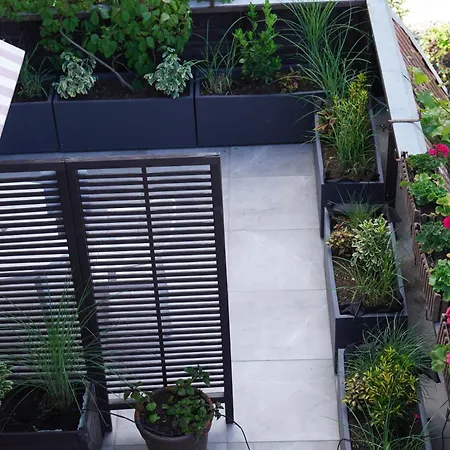 Bon Ton * Στσέτσιν