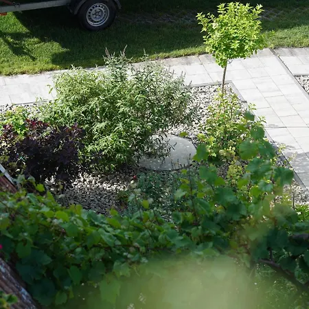 Bon Ton Alloggio in famiglia