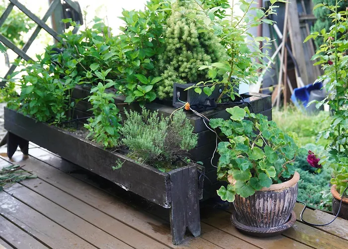 Bon Ton Kwatera prywatna *