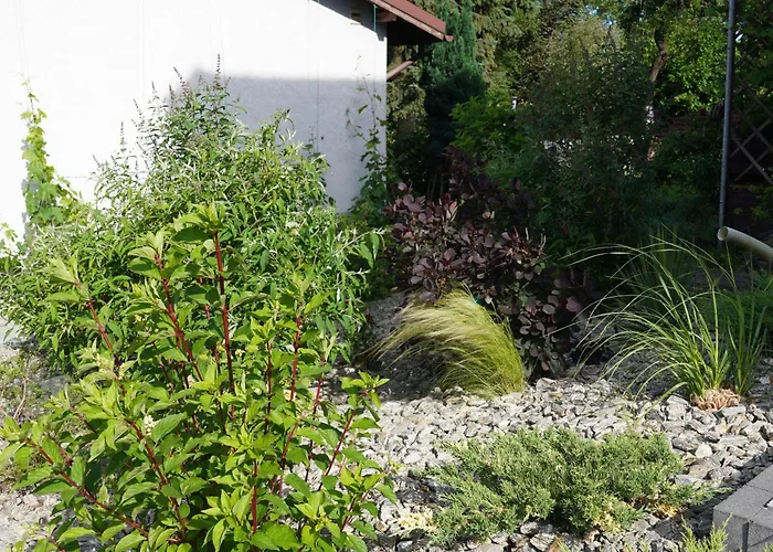 Homestay szállás Bon Ton *